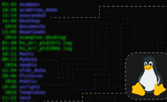 Schritt-für-Schritt-Anleitung zum Erstellen eines Shell-Skripts unter Linux