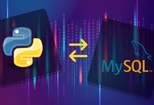Python + MySQL: So stellen Sie eine Verbindung mit dem MySQL Connector her