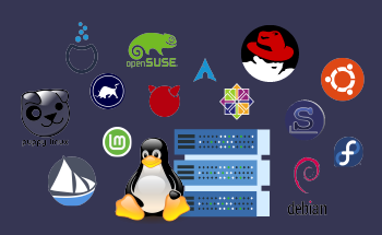 Welche Linux-Distribution lässt sich am besten auf dem Server installieren