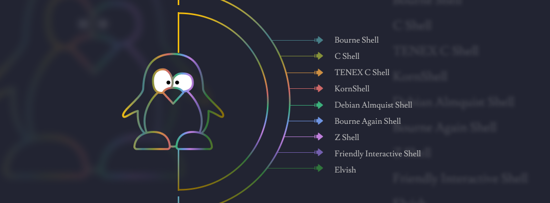 TOP 9 Linux-Shells