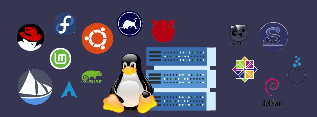 Welche Linux-Distribution lässt sich am besten auf dem Server installieren