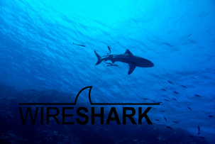 Wireshark 4.4.7 Veröffentlichung
