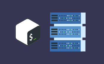 Einbindung von rm-Befehlen in Bash-Skripte