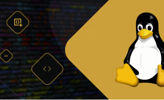Linux-Shell und Shell-Skripte: Grundlagen und Schlüsselkonzepte