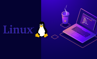 Wie kann man die Heap-Speicherbelegung laufender Prozesse unter Linux überprüfen?