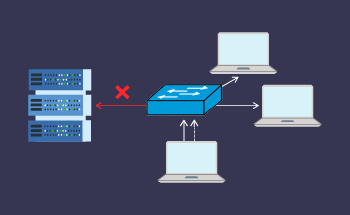 Automatische private IP-Adresszuweisung (APIPA): Definition, Funktionalität und Anwendungsfälle