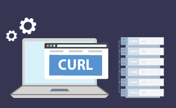 Hosting mit cURL