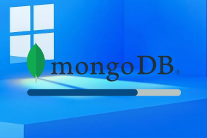 Installation von MongoDB Compass unter Windows